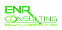 Entreprise ENR CONSULTING CARROS